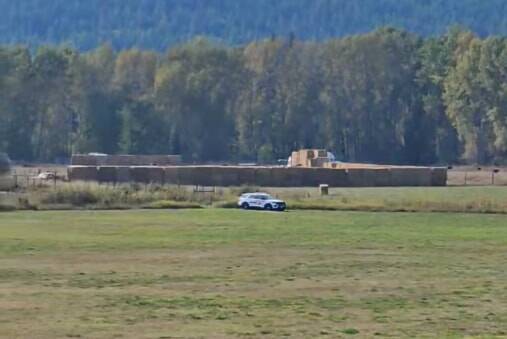   Millions wasted killing healthy B . C . ostriches : Animal Justice | Vanderhoof Omineca Express